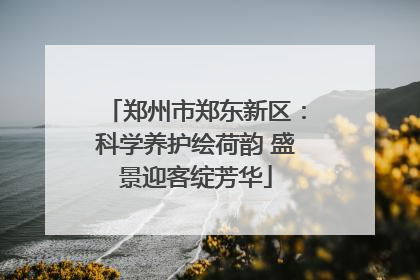 郑州市郑东新区：科学养护绘荷韵 盛景迎客绽芳华