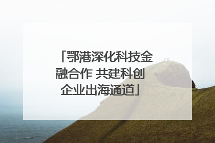 鄂港深化科技金融合作 共建科创企业出海通道