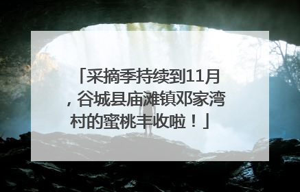 采摘季持续到11月，谷城县庙滩镇邓家湾村的蜜桃丰收啦！