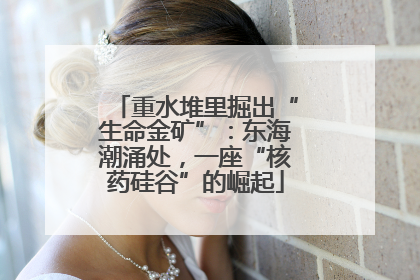 重水堆里掘出“生命金矿”：东海潮涌处，一座“核药硅谷”的崛起
