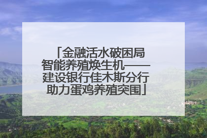 金融活水破困局 智能养殖焕生机——建设银行佳木斯分行助力蛋鸡养殖突围