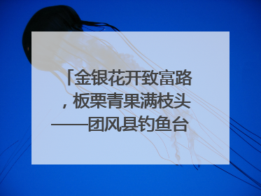 金银花开致富路，板栗青果满枝头——团风县钓鱼台村“山水生金”谱写共富新篇章