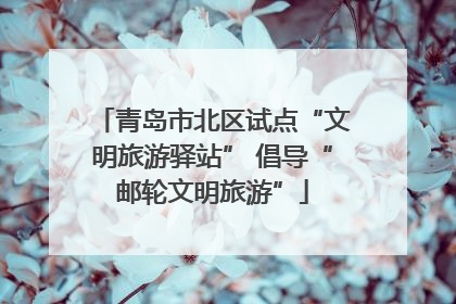 青岛市北区试点“文明旅游驿站” 倡导“邮轮文明旅游”