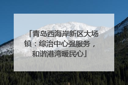 青岛西海岸新区大场镇：综治中心强服务，和谐港湾暖民心