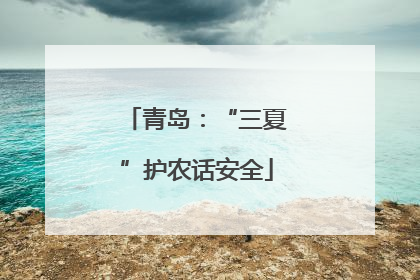 青岛：“三夏”护农话安全