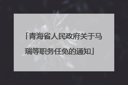 青海省人民政府关于马瑞等职务任免的通知