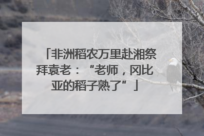 非洲稻农万里赴湘祭拜袁老：“老师，冈比亚的稻子熟了”