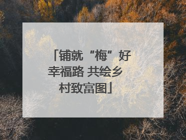 铺就“梅”好幸福路 共绘乡村致富图