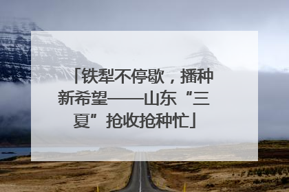 铁犁不停歇，播种新希望——山东“三夏”抢收抢种忙
