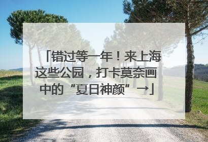 错过等一年！来上海这些公园，打卡莫奈画中的“夏日神颜”→