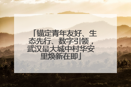 锚定青年友好、生态先行、数字引领，武汉最大城中村华安里焕新在即