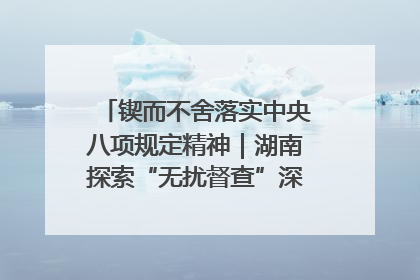 锲而不舍落实中央八项规定精神｜湖南探索“无扰督查”深化基层减负