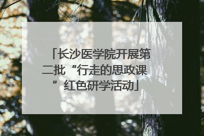 长沙医学院开展第二批“行走的思政课”红色研学活动