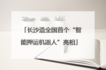 长沙造全国首个“智能押运机器人”亮相