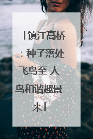 镇江高桥：种子落处飞鸟至 人鸟和谐趣景来