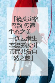 镜头定格鸟韵 传递生态之美——连云港生态摄影展引市民共赏自然之魅