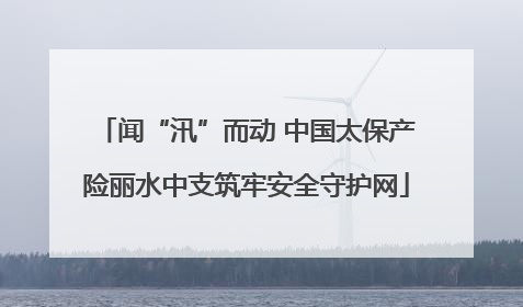 闻“汛”而动 中国太保产险丽水中支筑牢安全守护网