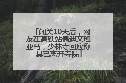 闭关10天后，网友在高铁站偶遇文班亚马，少林寺回应称其已离开寺院