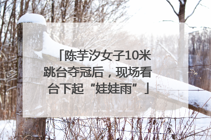 陈芋汐女子10米跳台夺冠后，现场看台下起“娃娃雨”
