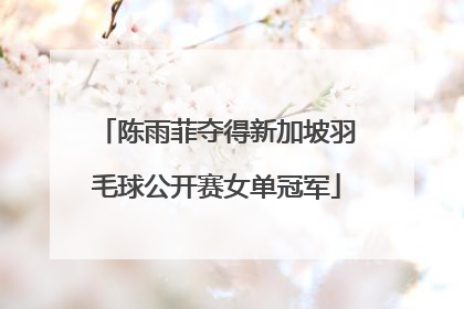陈雨菲夺得新加坡羽毛球公开赛女单冠军