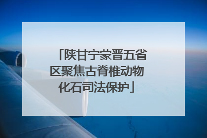 陕甘宁蒙晋五省区聚焦古脊椎动物化石司法保护