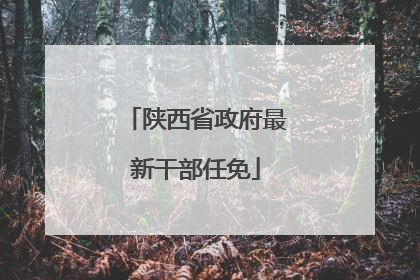 陕西省政府最新干部任免