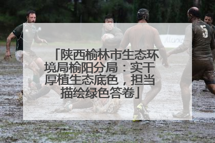 陕西榆林市生态环境局榆阳分局：实干厚植生态底色，担当描绘绿色答卷