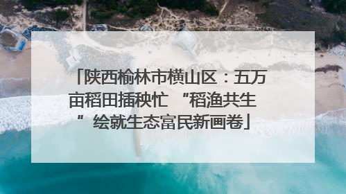 陕西榆林市横山区：五万亩稻田插秧忙 “稻渔共生”绘就生态富民新画卷