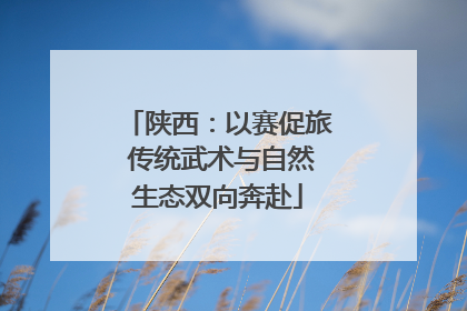 陕西：以赛促旅 传统武术与自然生态双向奔赴