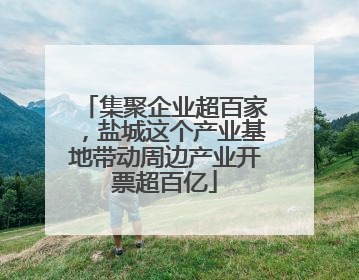 集聚企业超百家，盐城这个产业基地带动周边产业开票超百亿