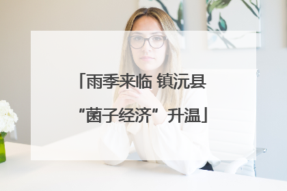 雨季来临 镇沅县“菌子经济”升温