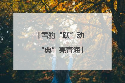 雪豹“跃”动 “典”亮青海