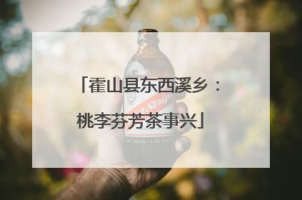 霍山县东西溪乡：桃李芬芳茶事兴