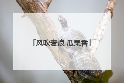 风吹麦浪 瓜果香