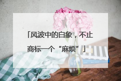 风波中的白象，不止商标一个“麻烦”
