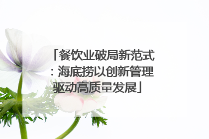 餐饮业破局新范式：海底捞以创新管理驱动高质量发展