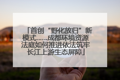 首创“野化放归”新模式……成都环境资源法庭如何推进依法筑牢长江上游生态屏障