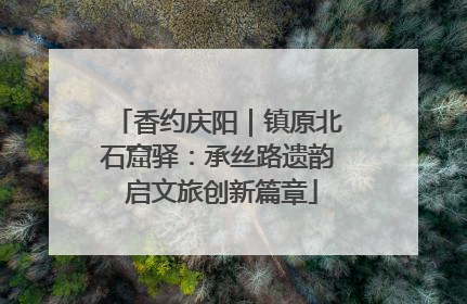 香约庆阳｜镇原北石窟驿：承丝路遗韵 启文旅创新篇章