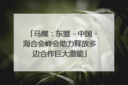 马媒：东盟－中国－海合会峰会助力释放多边合作巨大潜能