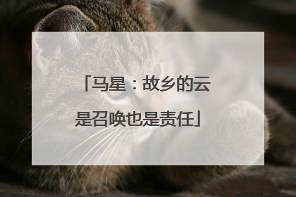 马星：故乡的云是召唤也是责任