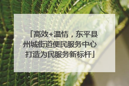 高效+温情，东平县州城街道便民服务中心打造为民服务新标杆