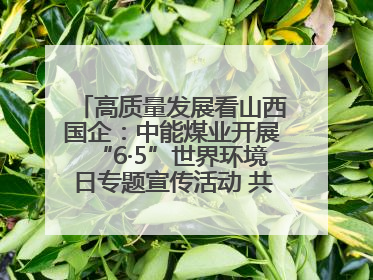 高质量发展看山西国企：中能煤业开展“6·5”世界环境日专题宣传活动 共筑绿色矿山