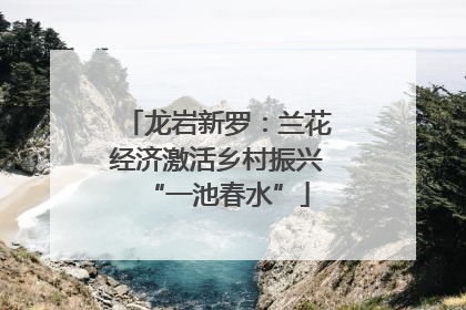 龙岩新罗：兰花经济激活乡村振兴“一池春水”