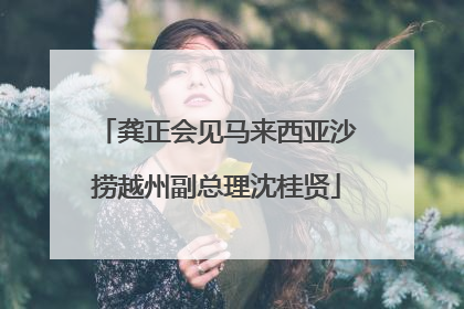 龚正会见马来西亚沙捞越州副总理沈桂贤