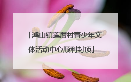 鸿山镇莲厝村青少年文体活动中心顺利封顶