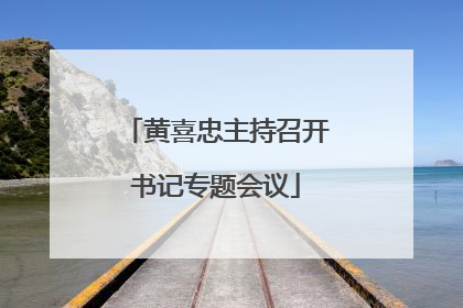 黄喜忠主持召开书记专题会议