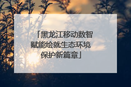 黑龙江移动数智赋能绘就生态环境保护新篇章
