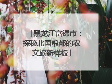 黑龙江富锦市：探秘北国粮都的农文旅新样板