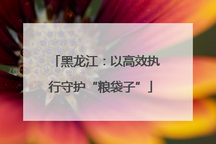 黑龙江：以高效执行守护“粮袋子”