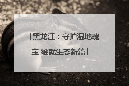 黑龙江：守护湿地瑰宝 绘就生态新篇